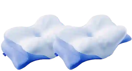2 derila pillow pricing